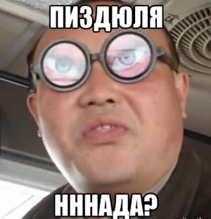 Поляки, мать вашу за ногу!