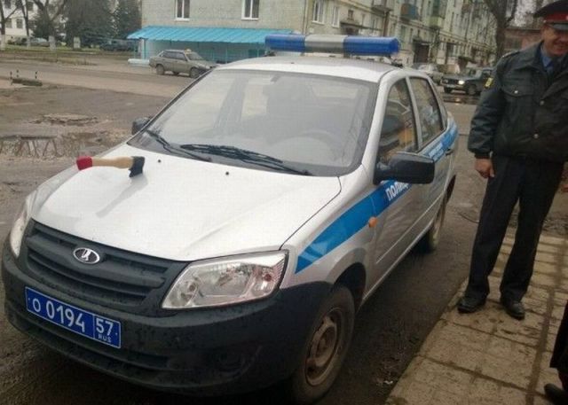 Весёлые картинки