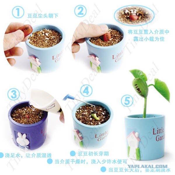 Смешарик из яйца.