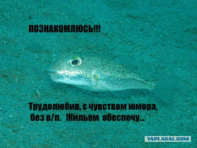 Мистические круги