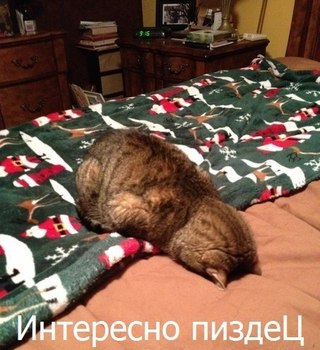 Успение