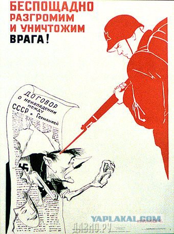 Суд оштрафовал краснодарку за