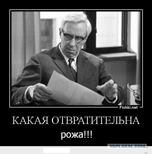 Территориальный менеджер