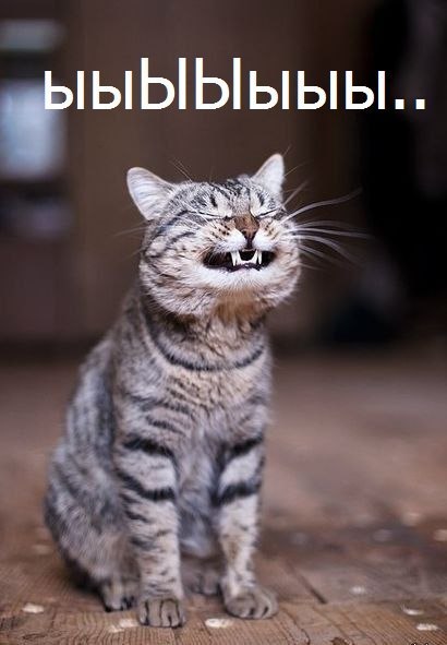 Позитив на воскресенье