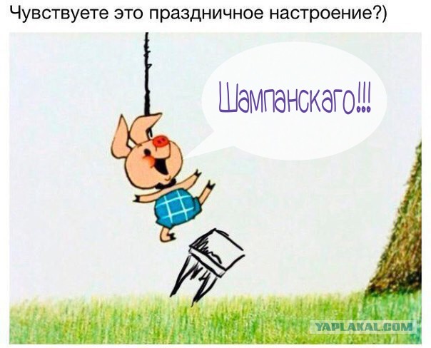 Планы на сегодняшний вечер