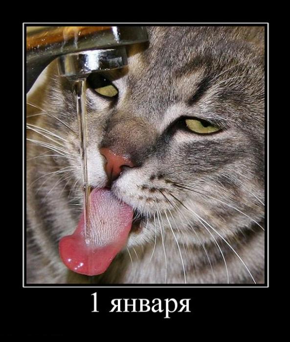 Пытаешься, такой, позавтракать 1 января.