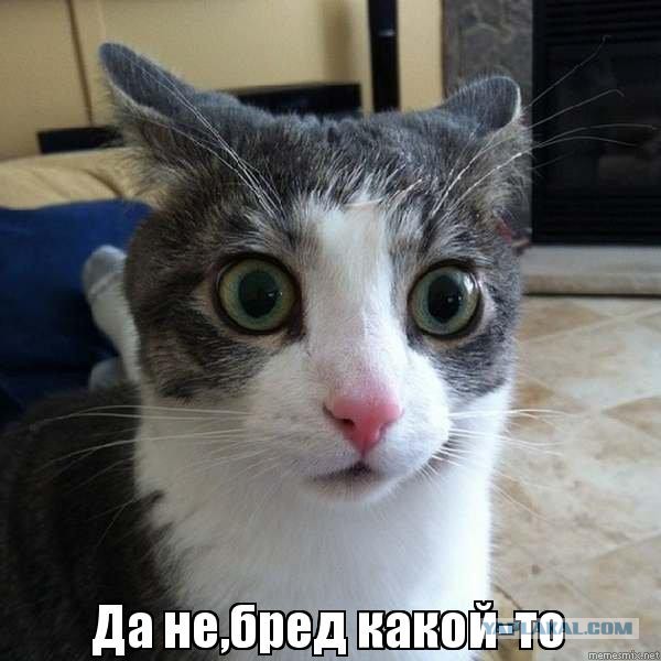 Откуда в России берётся всё
