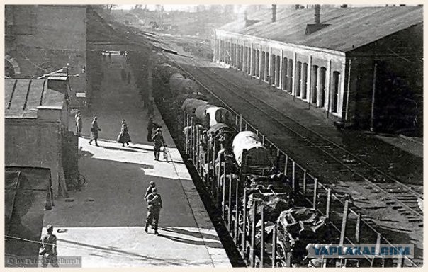Фото с мест Волховской битвы (Вермахт)