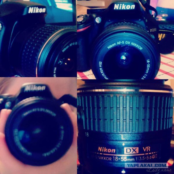 731 день в России. Получение гражданства. Привыкание. Как и за что полюбить Кострому?