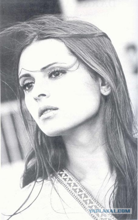 Как живут современные цыгане