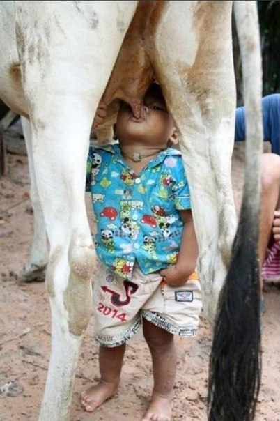 Подборка интересных и веселых картинок