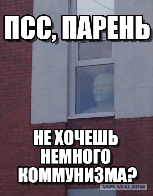 На Поклонскую подали заявление в Генпрокуратуру