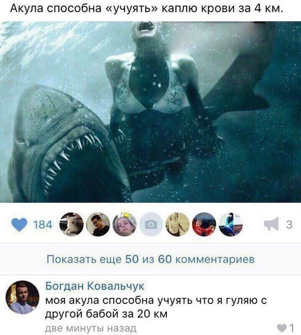 Смешные СМС и комменты