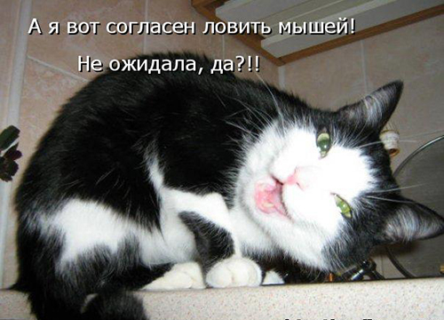 Картинки из ваших интернетов