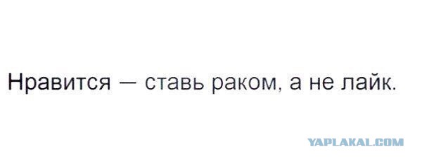 Смешные комментарии из социальных сетей 09.12.2016