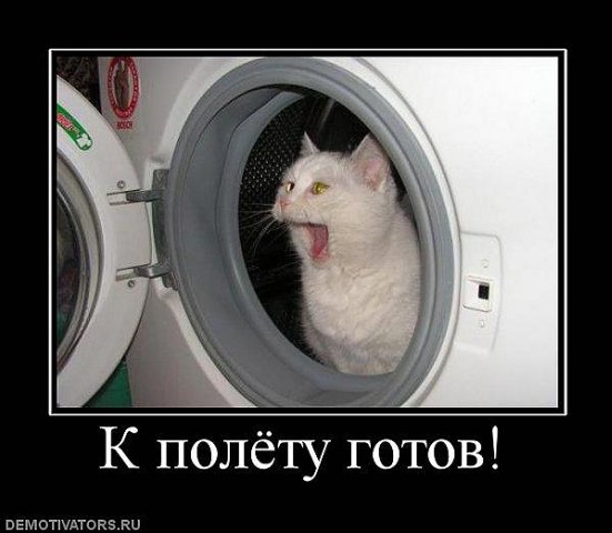 Почему нельзя кота в космос запустить