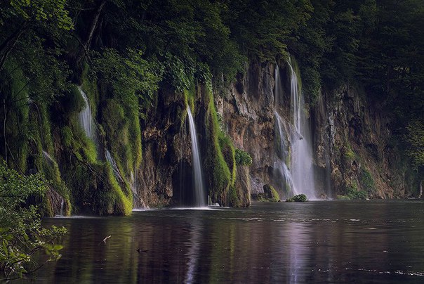 Моменты, запечатлённые на фото и просто позитив 5