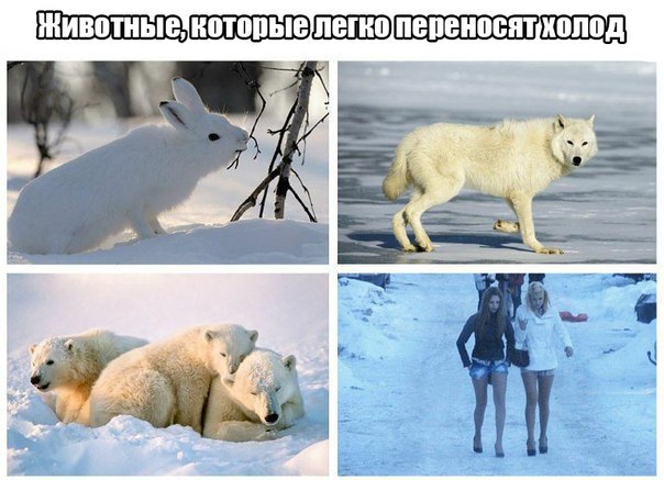 Фотофакт: Суровой якутской моднице морозы нипочем!