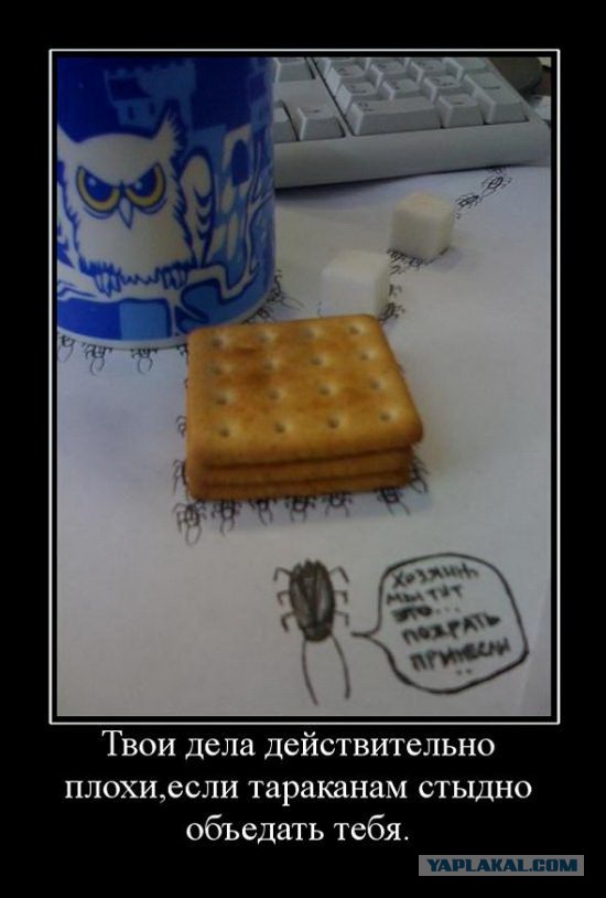 Не понимаю этого