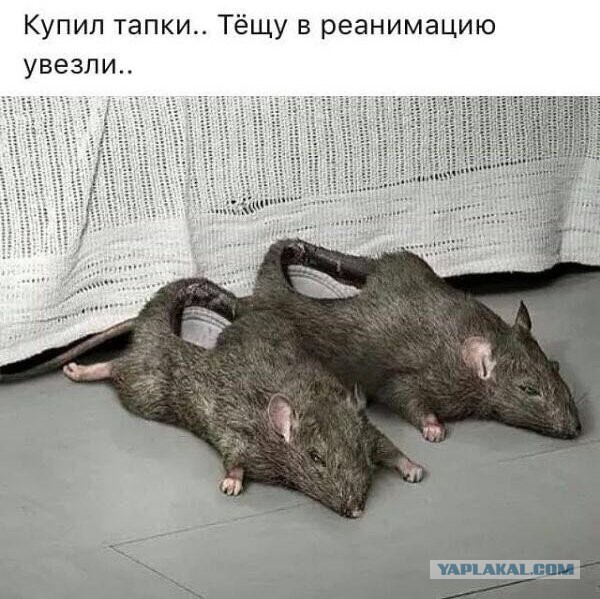 Зря вы это всё...
