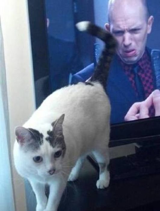 Бывают в жизни огорчения...