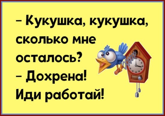 Нестандартный юмор