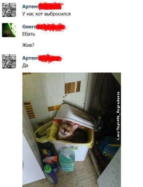 Не очень адекватный юмор