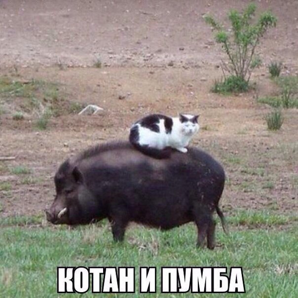 Немного картинок в эту субботу