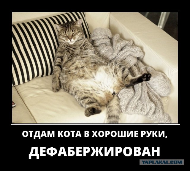 Картинки в рамках с надписями