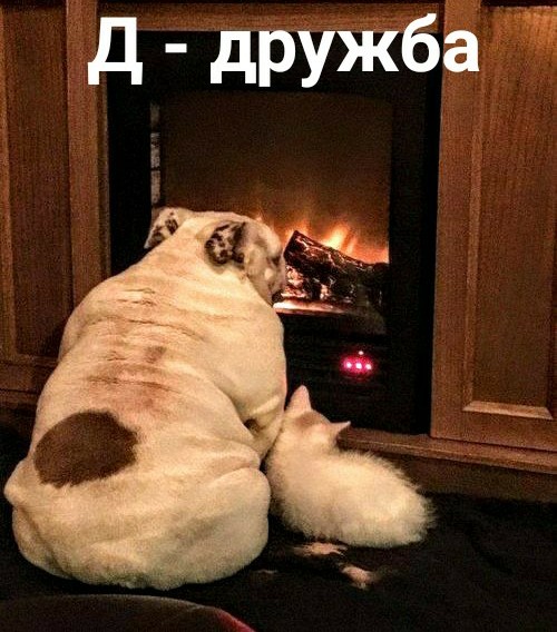 Фотоинтересности