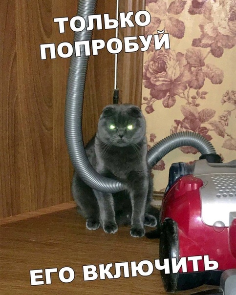 Чуток картинок 14.10.19