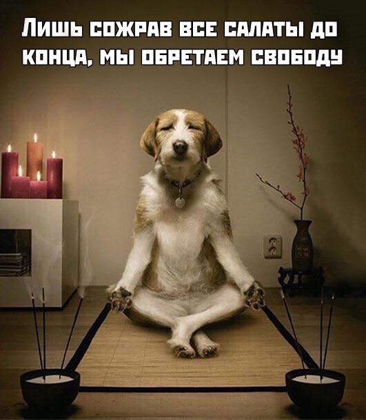 Бредзона 02.01.2020