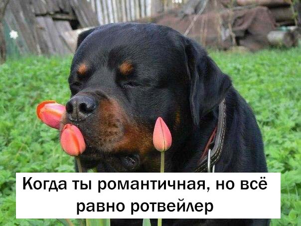 Немного картинок для настроения 17.01.20
