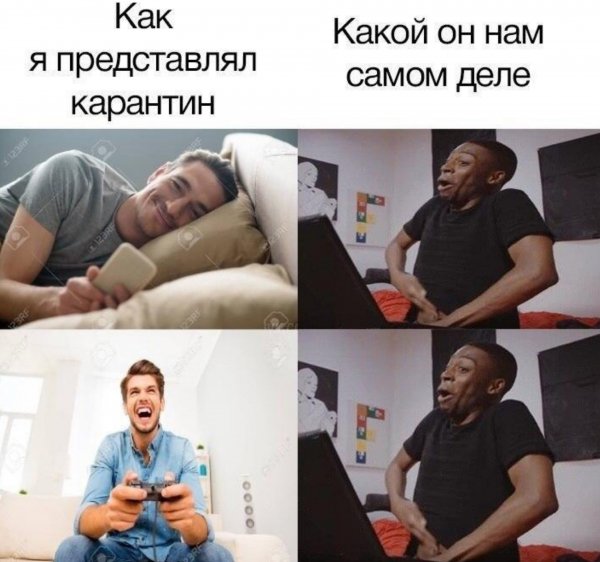 Немного картинок для настроения 20.04.20