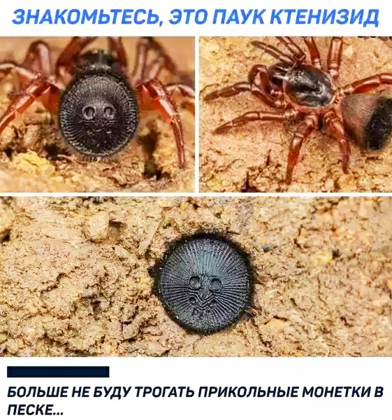 Немного картинок для настроения 07.05.20