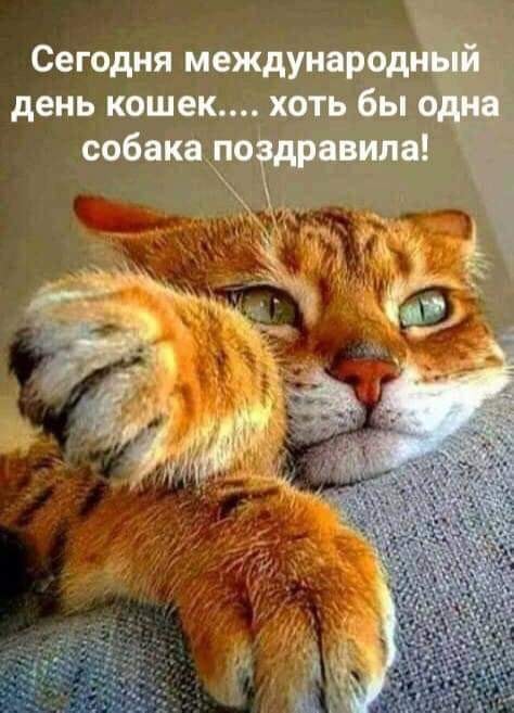 Бредзона 08.08.20