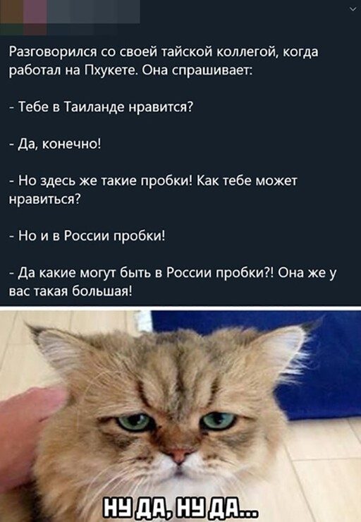 Немного картинок для настроения 03.09.20