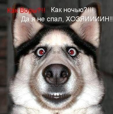Игра: Ассоциации на ник пользователей ЯПлакалъ
