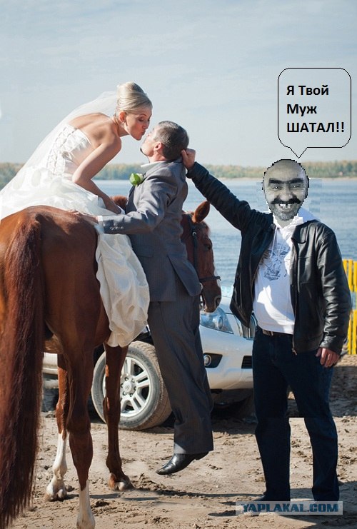 Фотожаба: помощник