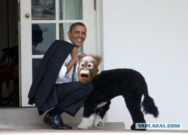 У Барака