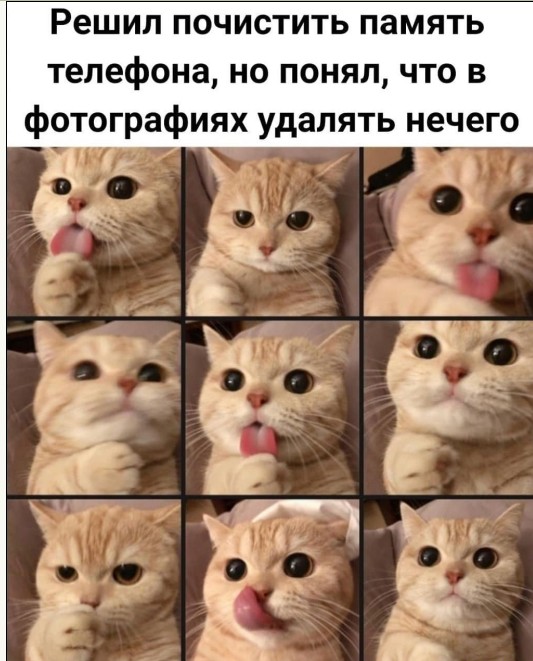 Картинки в субботу 16.01.21
