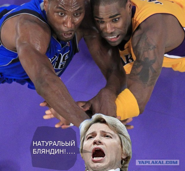 Ну очень жабельная фотография!
