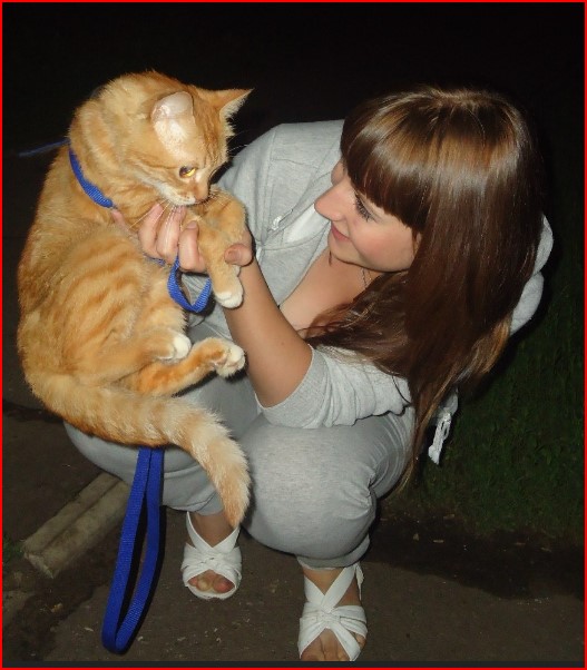 Кот завалил змея