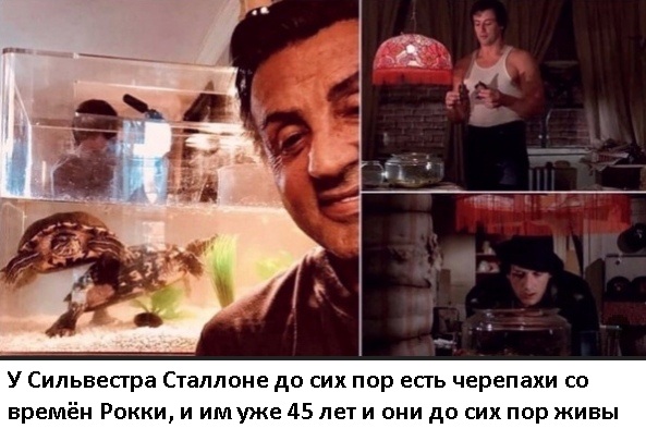 Так себе картинки 10.08.21