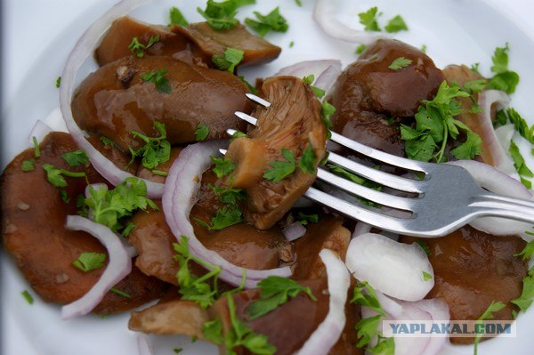 Осень в банках