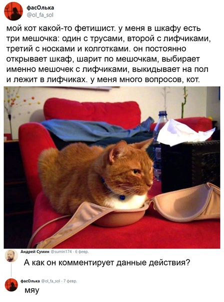 Картинки и мемы для настроения 13.10.2021