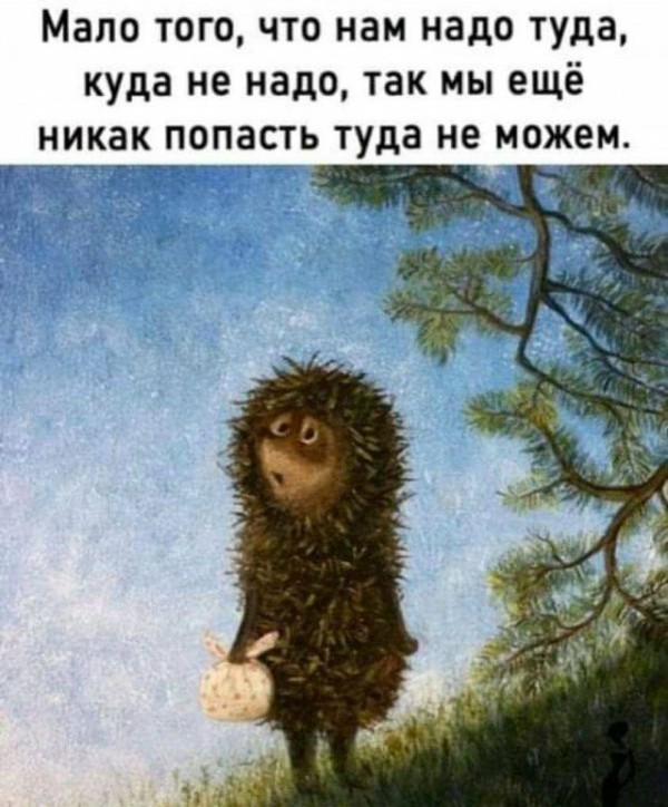 Картинки и мемы для настроения 03.11.2021