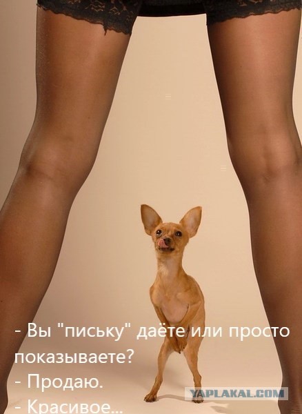 Ушла жена