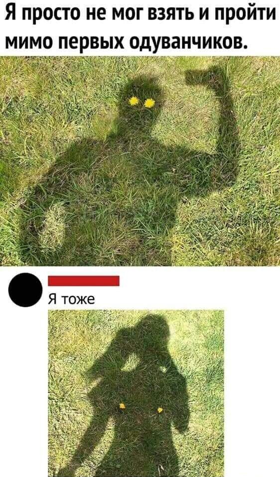 Прямо в душу смотрит