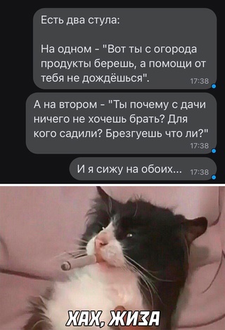 Немного картинок для настроения - 114